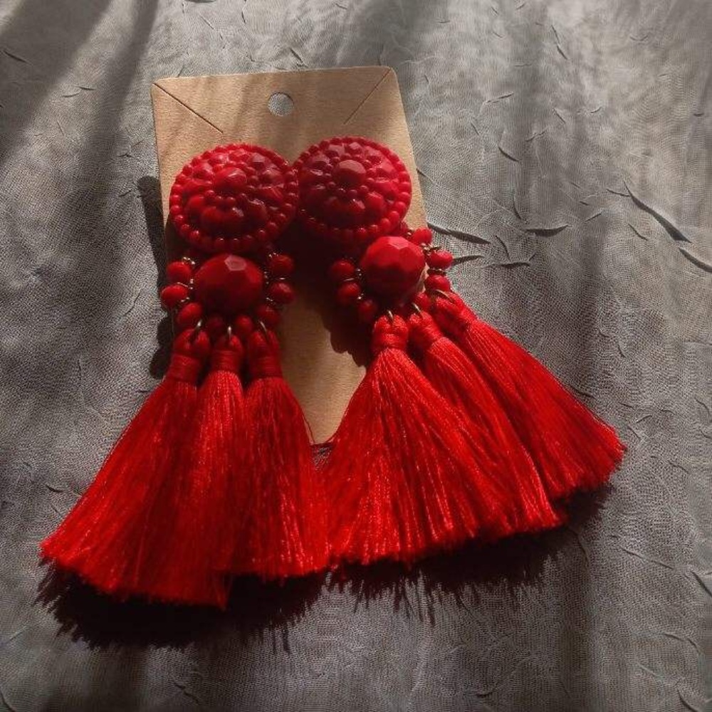 Earrings